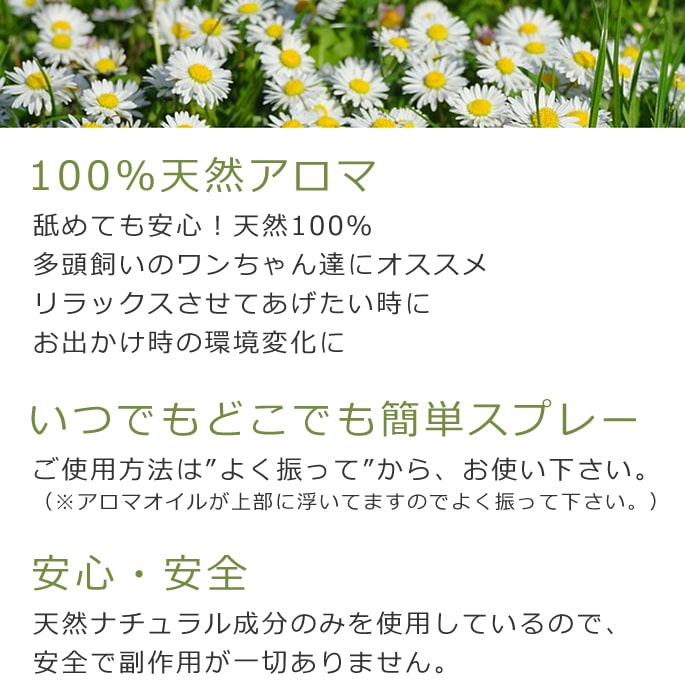 100��ŷ�������ޡ���ե�å��她�ץ졼�������ޤι��ǵ�ʬ��ե�å����a0257��