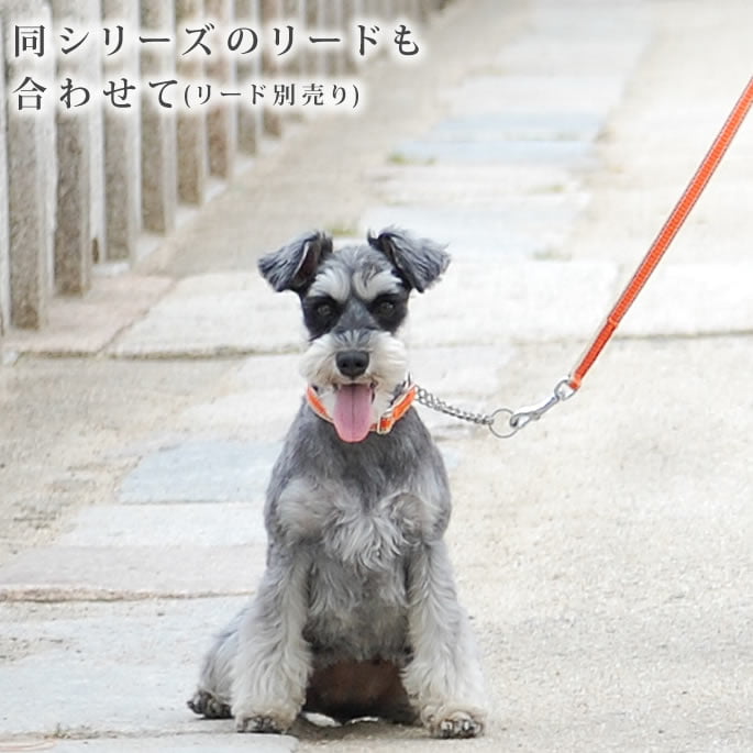 �淿���ѥϡ��ե��硼����ASHU�����饤��W���ϡ��ե��硼�������顼M������