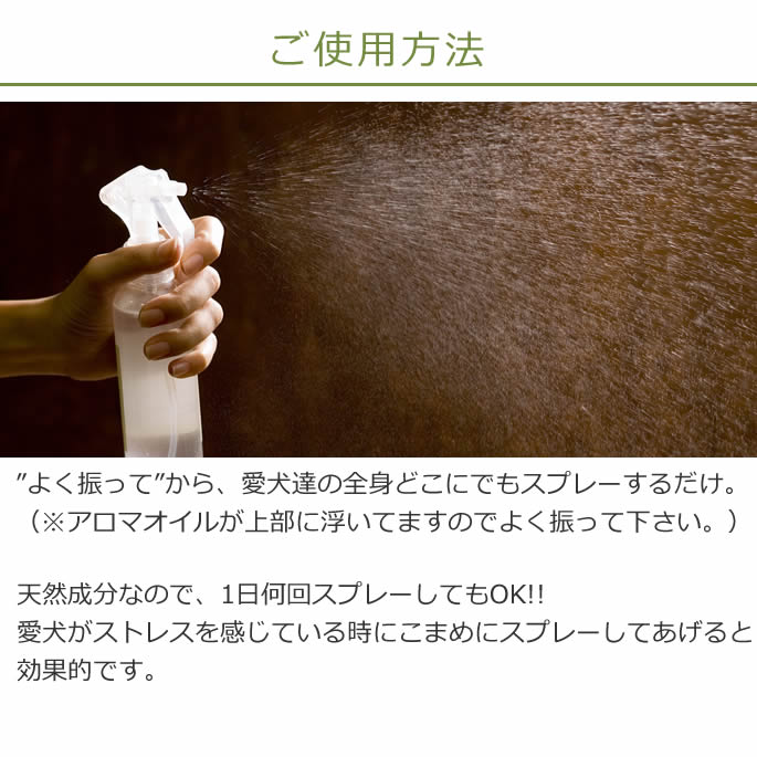 100��ŷ�������ޡ���ե�å��她�ץ졼�������ޤι��ǵ�ʬ��ե�å����a0257��