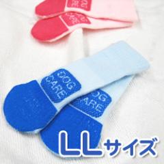 �������å�����LL��2�����ꡡ�ڤ��Ĥ��� ���Ĳ� ���ѷ��� ���ݡ����� ����