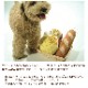 ���Ѥ�����㡡�����١����꡼�����ѥ�/�����ѥ�/�ե�󥹥ѥ�/�ۥåɥɥå�/������ ���Τʤ�̤������