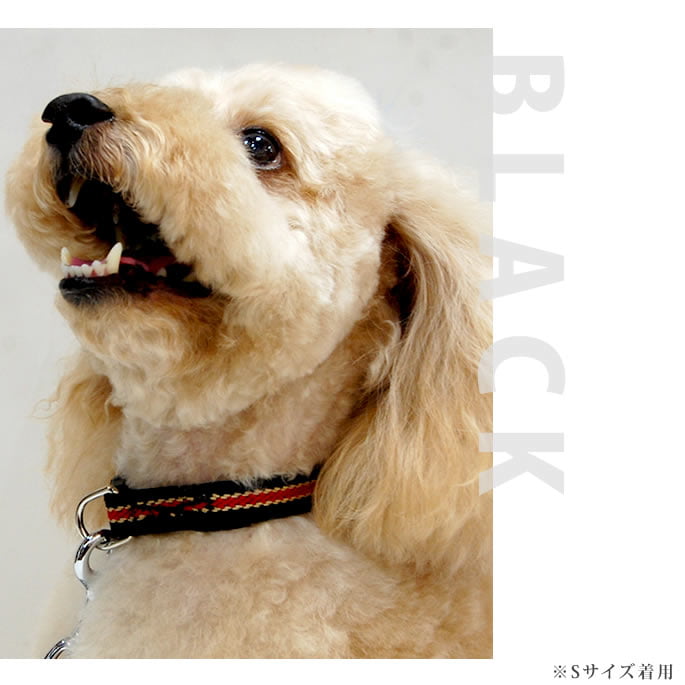 �淿���Ѽ��ء�ASHU�����饤�󡡥��顼�ͥ�����