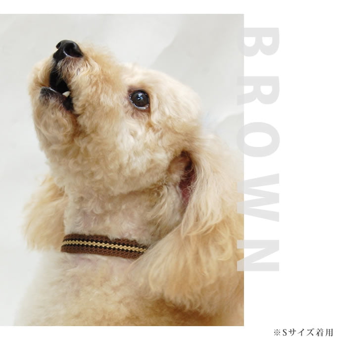 �淿���Ѽ��ء�ASHU�����饤�󡡥��顼�ͥ�����