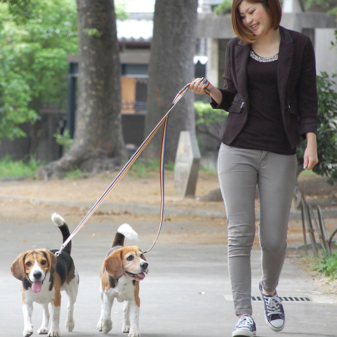 ���ѥ꡼�ɡ�ASHU���쥤��ܡ����꡼�ɡ����������淿��