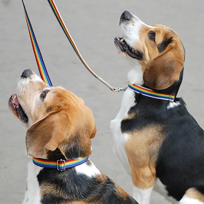 犬用リードフック お座りL＜LFP-DG301＞ 犬用リードフック お座りL＜LFP-DG301＞ リードフック 屋外