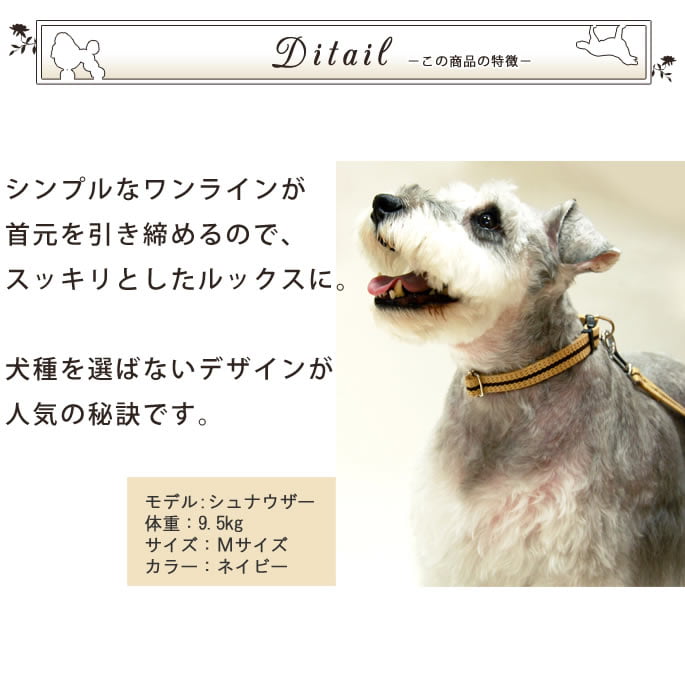 �淿���Ѽ��ء�ASHU�����饤�󡡥��顼�ͥ�����