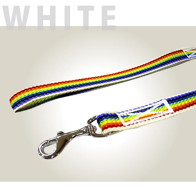 ���ѥ꡼�ɡ�ASHU���쥤��ܡ����꡼�ɡ����������淿��