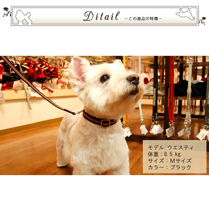 �淿���Ѽ��ء�ASHU�����饤�󡡥��顼�ͥ�����