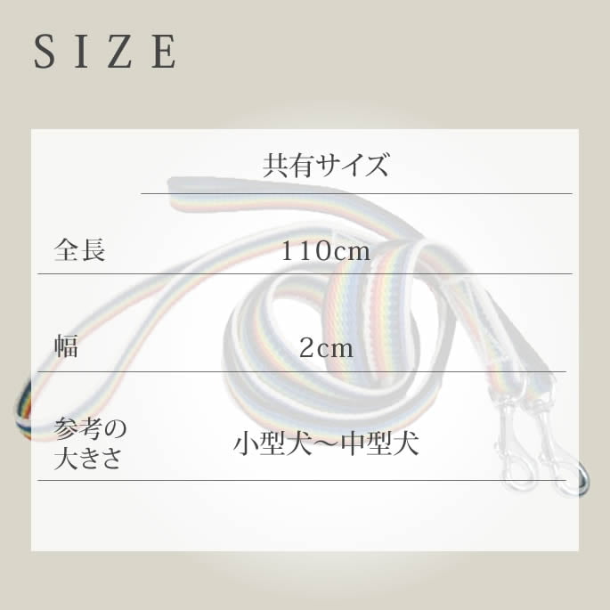 ���ѥ꡼�ɡ�ASHU���쥤��ܡ����꡼�ɡ����������淿��