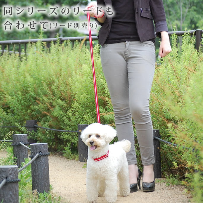 �淿���Ѽ��ء�ASHU�����饤�󡡥��顼�ͥ�����