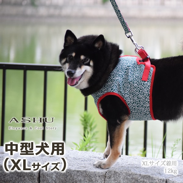 ASHU�������ϡ��ͥ� ���� XL������(�淿����)�ڥ꡼�ɤ�������