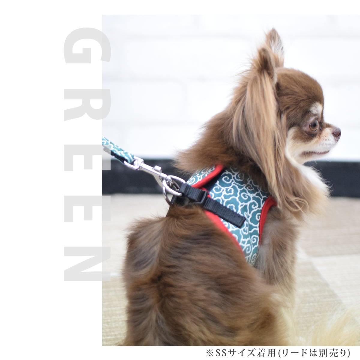 ASHU�������ϡ��ͥ� ���� XL������(�淿����)�ڥ꡼�ɤ�������