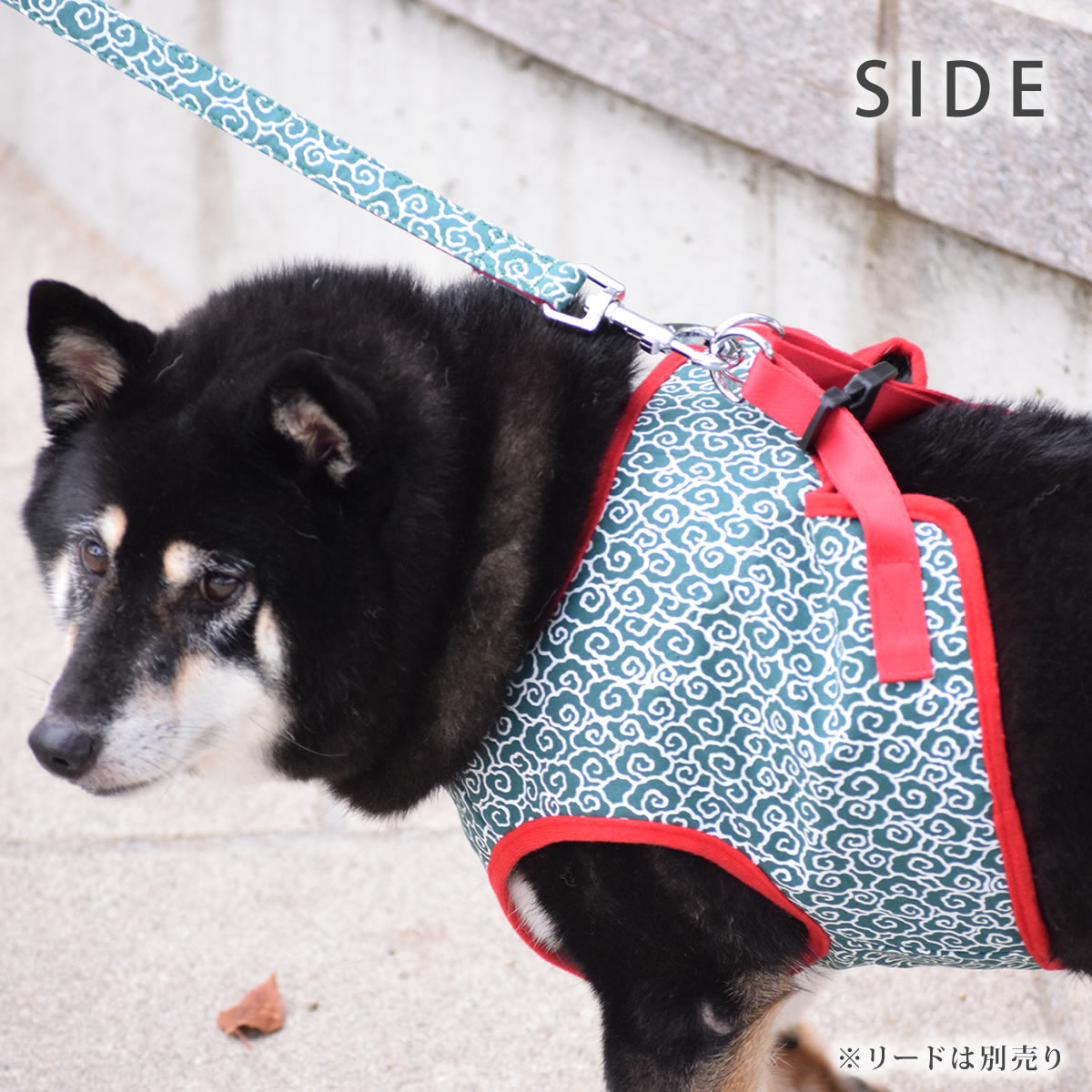 ASHU�������ϡ��ͥ� ���� XL������(�淿����)�ڥ꡼�ɤ�������