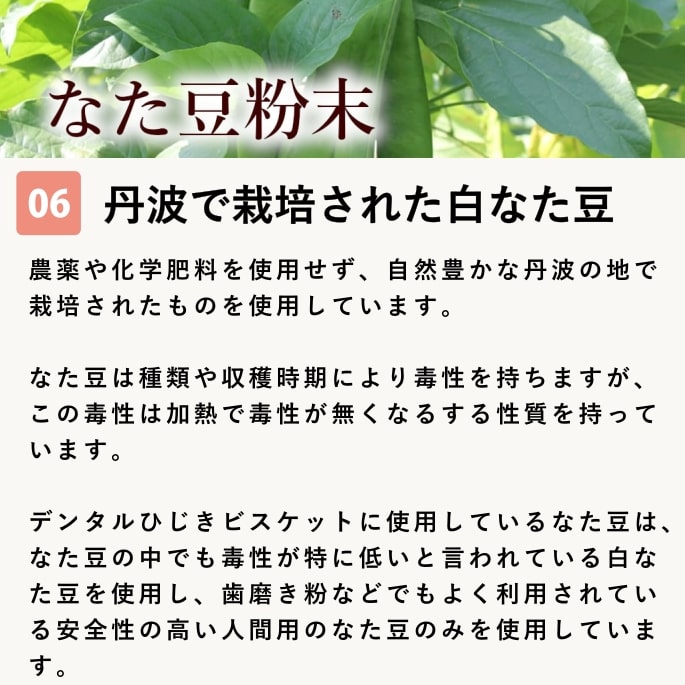 ���Ѥ���ġåǥ󥿥�Ҥ����ӥ����åȡ��ϡ���60g