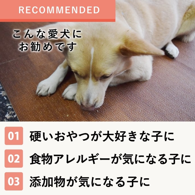 ���Ѥ���ġåǥ󥿥�Ҥ����ӥ����åȡ��ϡ���60g