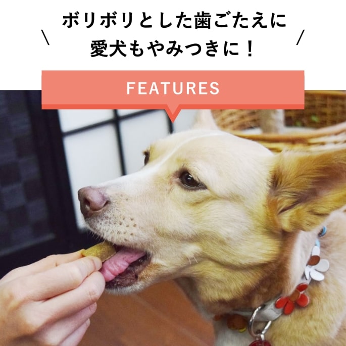 犬用おやつ｜デンタル米ぬかビスケット60g ペット用品・ドッグフードの
