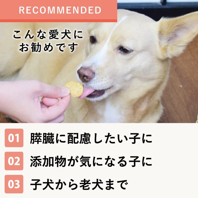 ���ѥ��å����å��ꥸ�ʥ륯�å�����繥����ץ饹��80g 11��