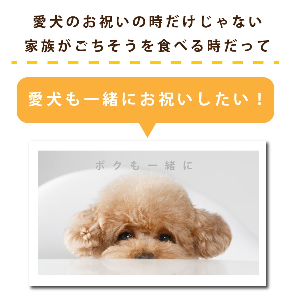 ѤġƲμ쥢6ڥϥɥ࿩Ʋۡء