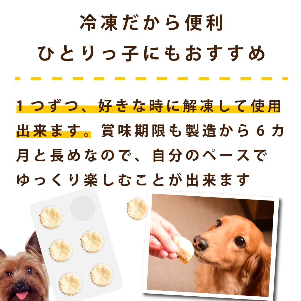 ѤġƲμ쥢6ڥϥɥ࿩Ʋۡء