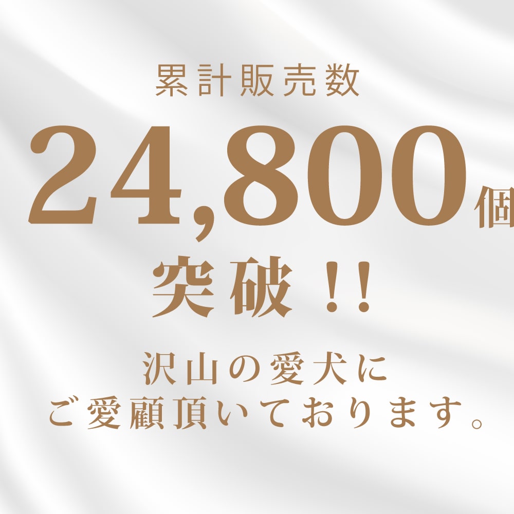 ѤġƲμ쥢6ڥϥɥ࿩Ʋۡء