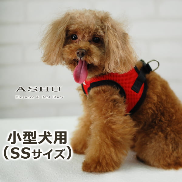 ĶѥϡͥASHUϡͥ å塡SS