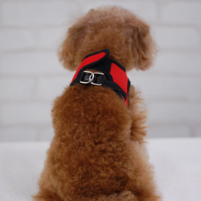 ĶѥϡͥASHUϡͥ å塡SS