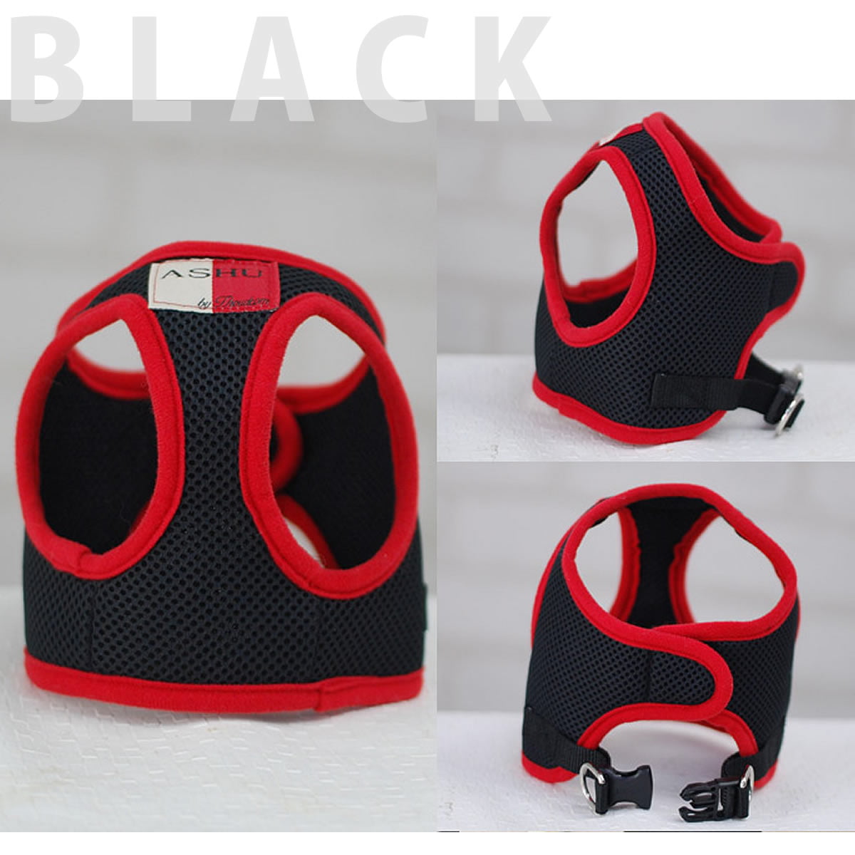 ĶѥϡͥASHUϡͥ å塡SS