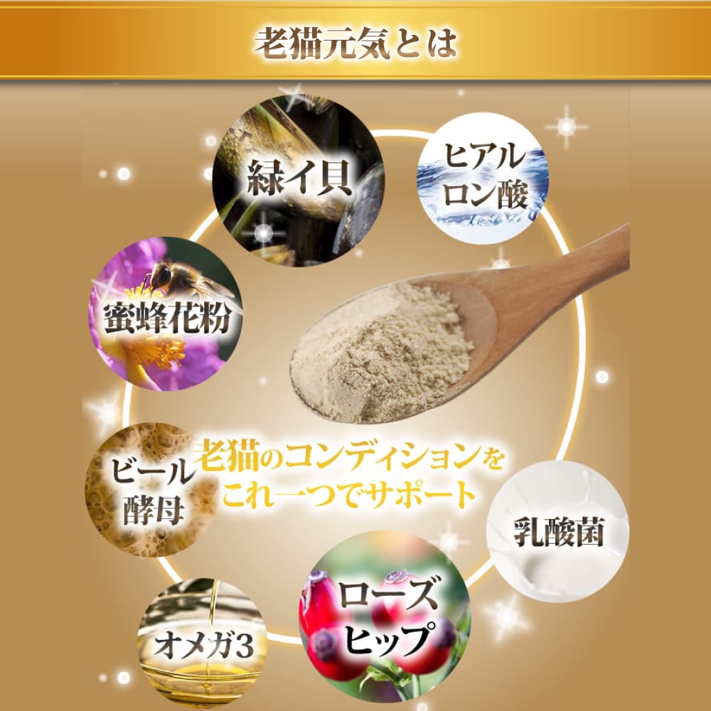 ǭ�ѥ��ץ��Ϸǭ���������˥������祵�ץ����