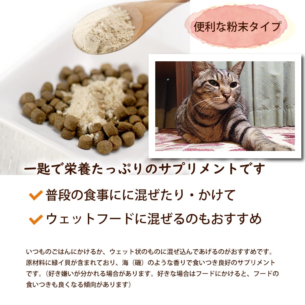 ǭ�ѥ��ץ��Ϸǭ���������˥������祵�ץ����