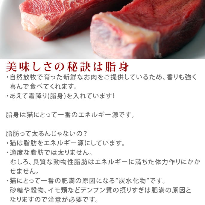 犬用 馬肉｜冷凍生馬肉 ブロック 3kg [500g×6] 手作り食に カナダ産