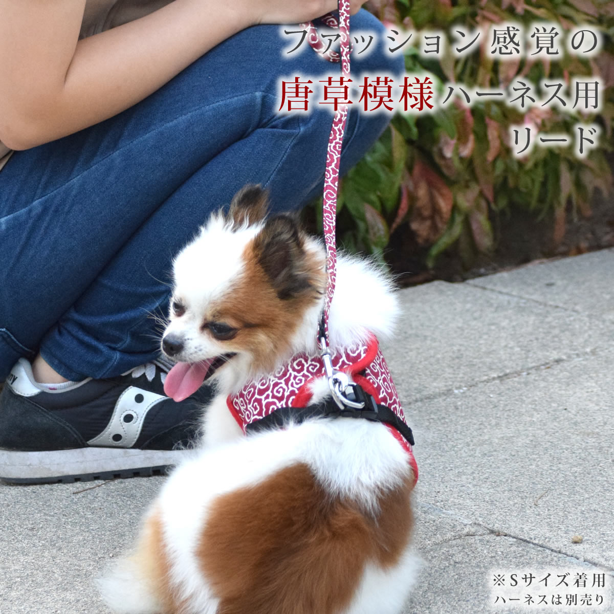 ASHUウェアハーネス 唐草用リード Sサイズ(小型犬用)