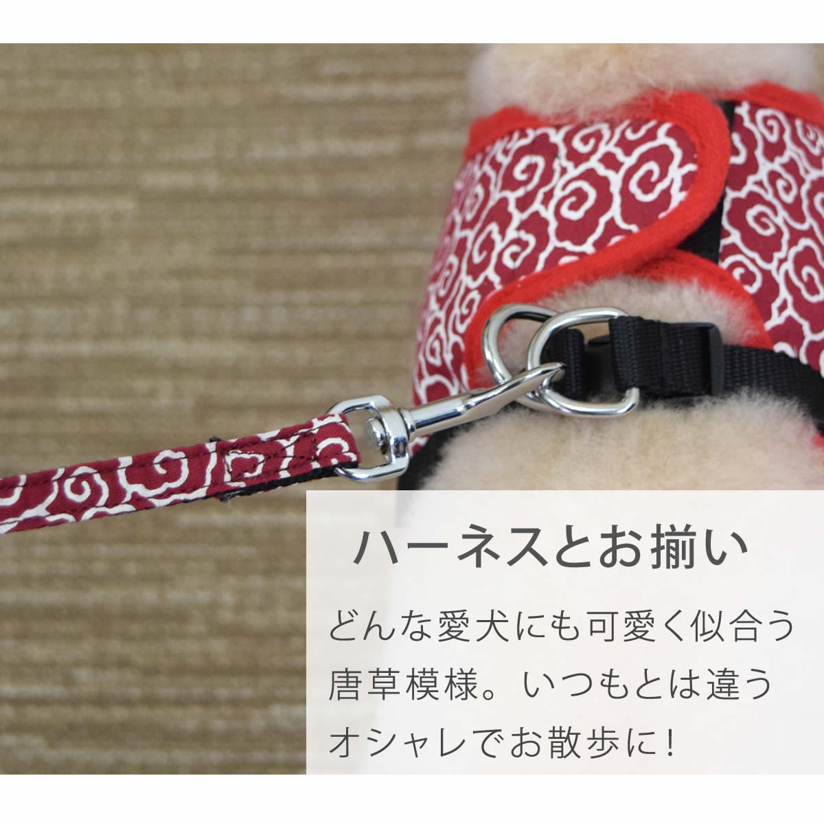 ASHUϡͥ ѥ꡼ S()ڥϡͥ