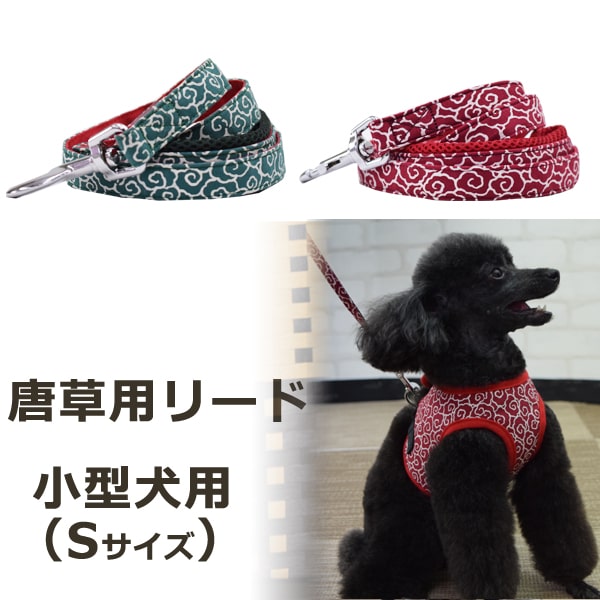 ASHUϡͥ ѥ꡼ S()ڥϡͥ