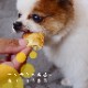 �����Ѥ���ġ���Ʋ����͵��Υ������ĥ��åȡ� �쥢���������������ѥ��ȥꥪ�����������ե�ڥϥ���ɥ��࿩Ʋ�ۡ������ء�