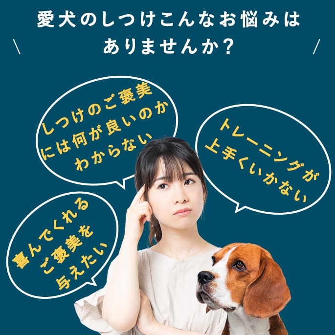 ���Ѥ���ġûҸ����Ĥ���˫������ĥ��å�