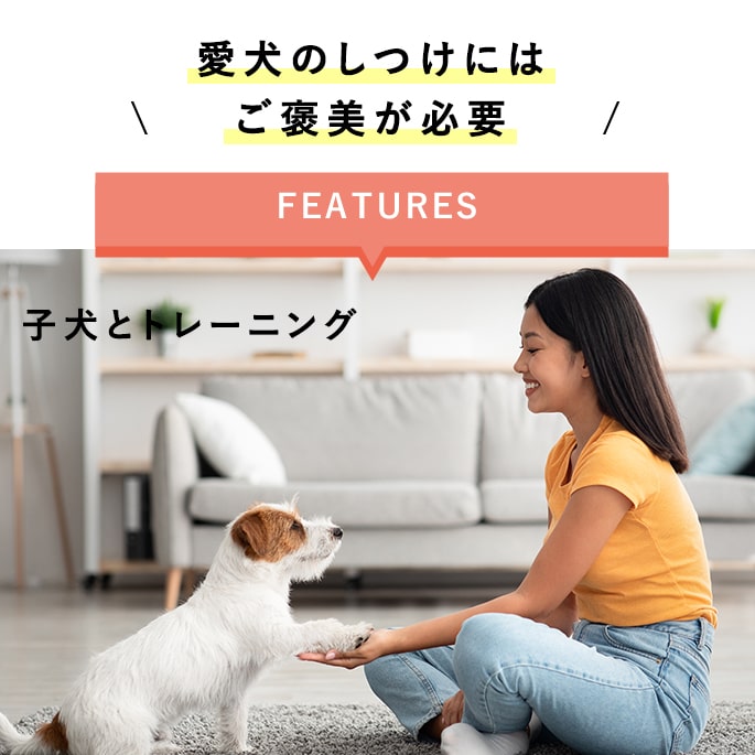 ���Ѥ���ġûҸ����Ĥ���˫������ĥ��å�