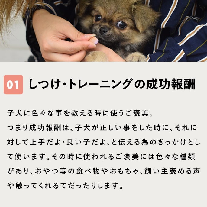 犬用おやつ｜子犬しつけご褒美おやつセット