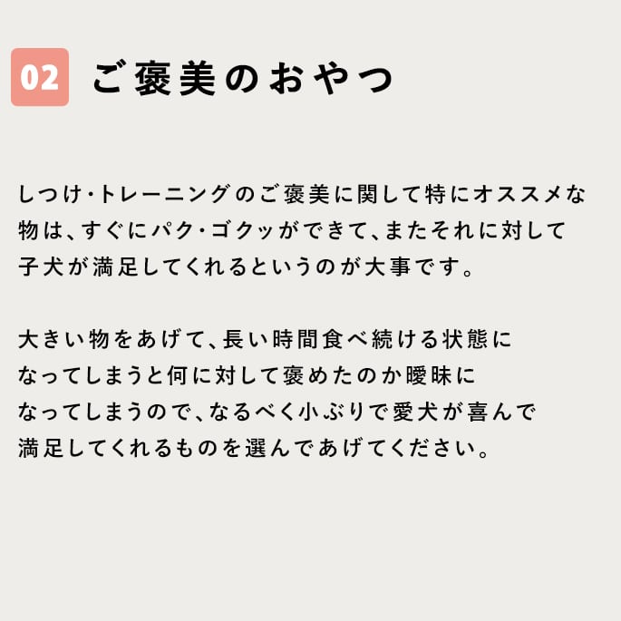 ���Ѥ���ġûҸ����Ĥ���˫������ĥ��å�