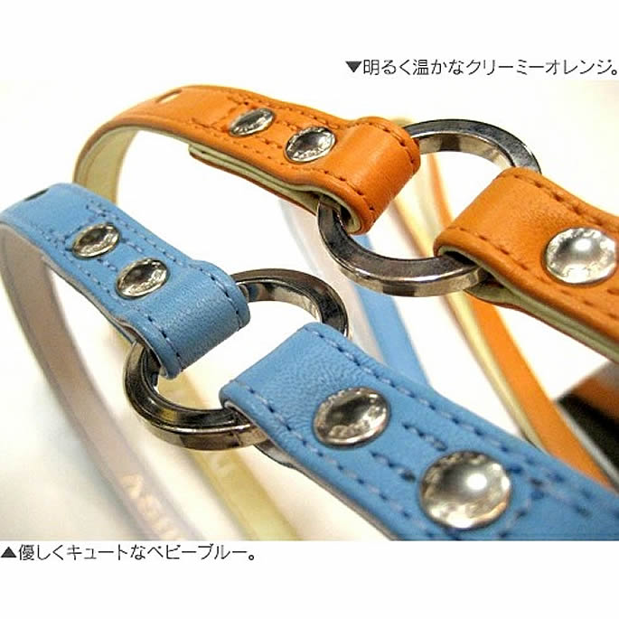 ѥ꡼ɡASHUѥƥɥåȥ꡼ S