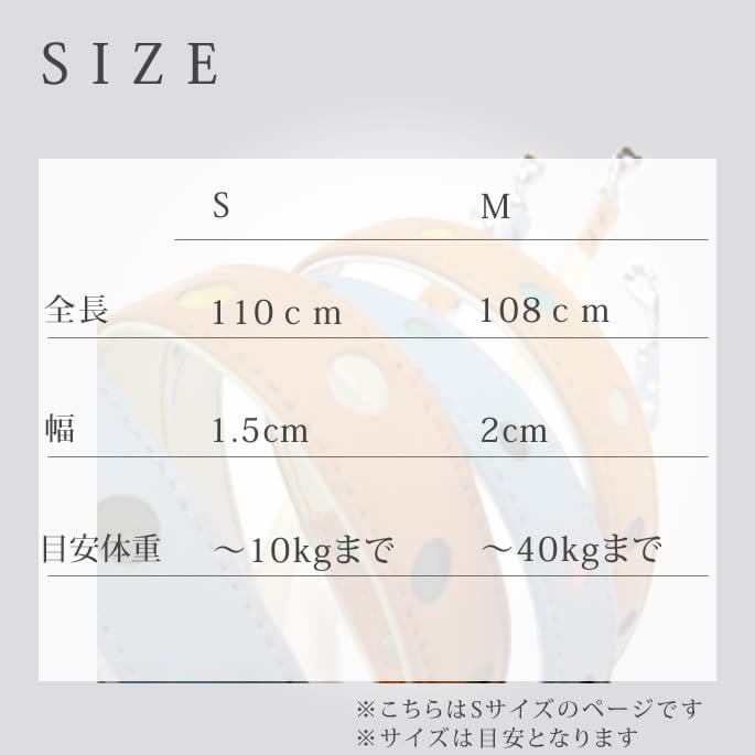 ѥ꡼ɡASHUѥƥɥåȥ꡼ S