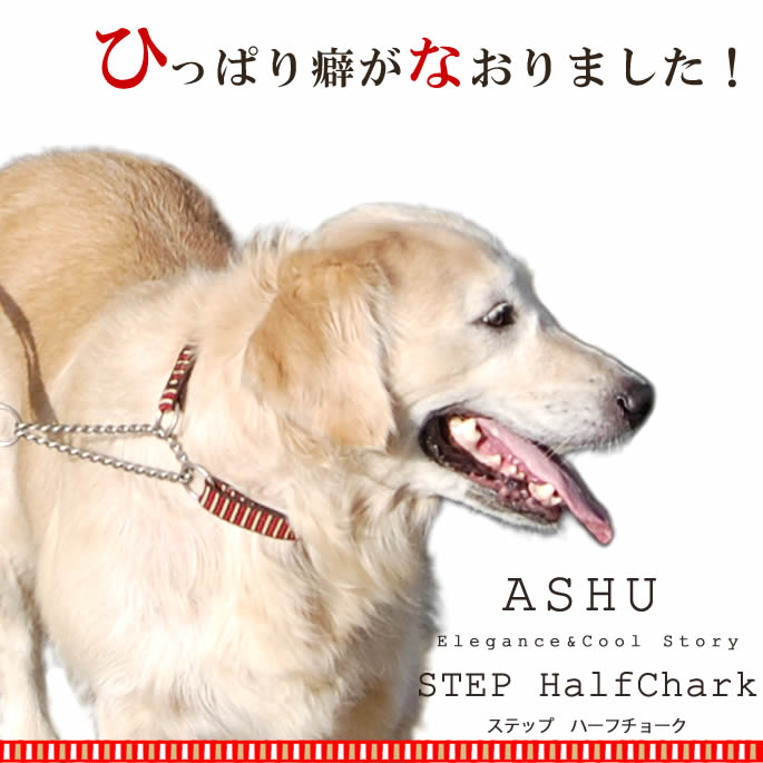 スペイン製 高級犬用首輪(M)とリードPeruvian Pikes 小型犬中型