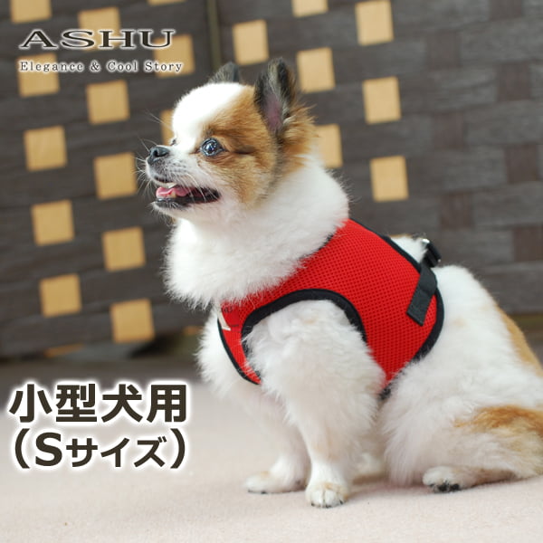 ѥϡͥASHUϡͥ å塡Sڥ꡼ɤ