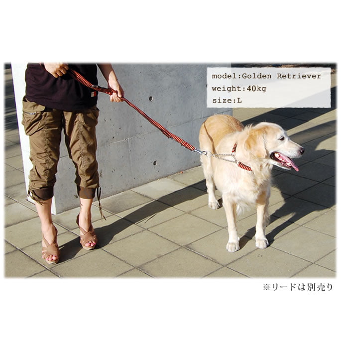 �緿���ѥϡ��ե��硼����ASHU��STEP�����ƥåס��ϡ��ե��硼����L������