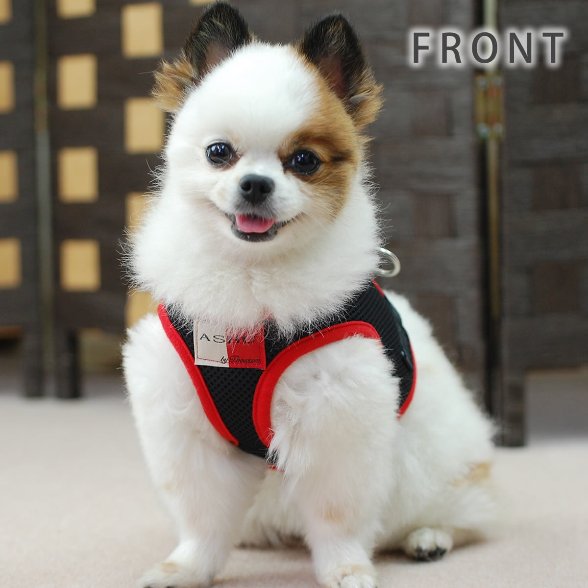 ѥϡͥASHUϡͥ å塡Sڥ꡼ɤ