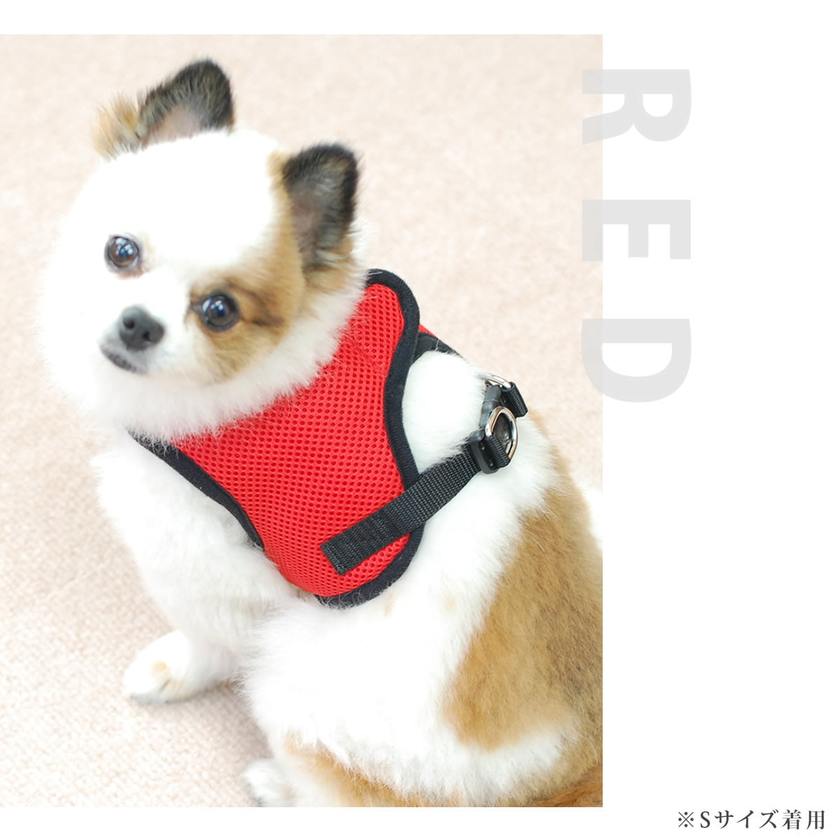 ѥϡͥASHUϡͥ å塡Sڥ꡼ɤ