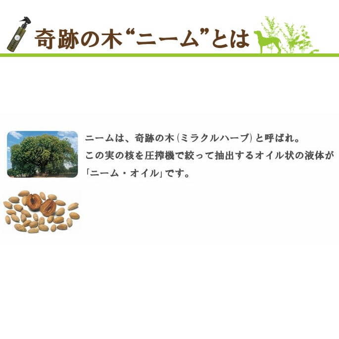 ��ˡ����200ml��