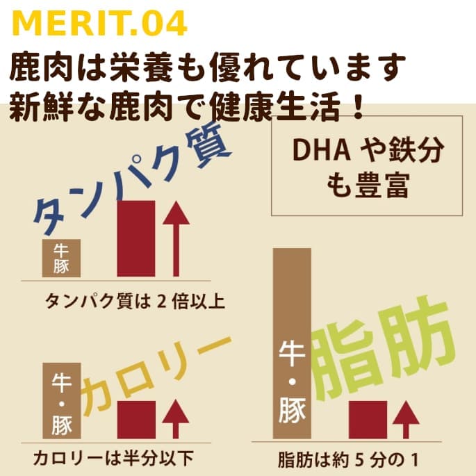 ޼֥å 1kga0304ۡǭˤ⤴Ѥޤھʬȥ졼ǤϤޤ