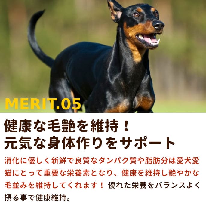 ޼֥å 1kga0304ۡǭˤ⤴Ѥޤھʬȥ졼ǤϤޤ