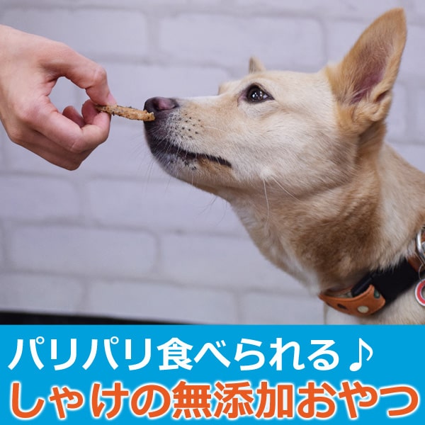 ���Ѥ���ġ�̵ź�óͤ줿�� ���㤱���å� 50g �� 5�ޥ��å� �� ��ǭ