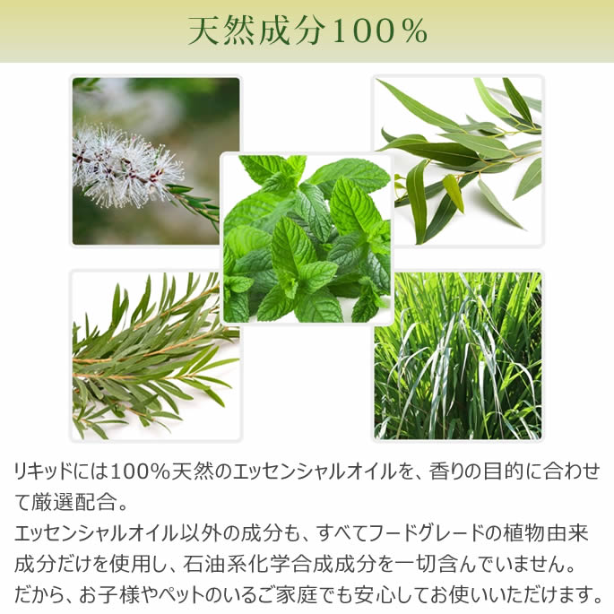 μѡץ饰ޡ⥹ȥȥ顡å ץ饰ο˥˥塼뤷Ƥޤ